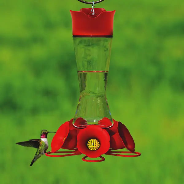 Pinch-Waist Glass Hummingbird Feeder, 16 oz