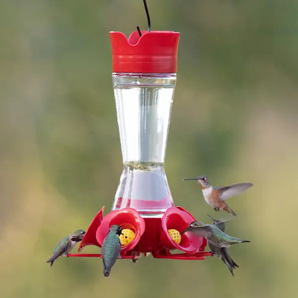 Pinch-Waist Glass Hummingbird Feeder, 16 oz