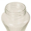 Pinch-Waist Glass Hummingbird Feeder, 16 oz