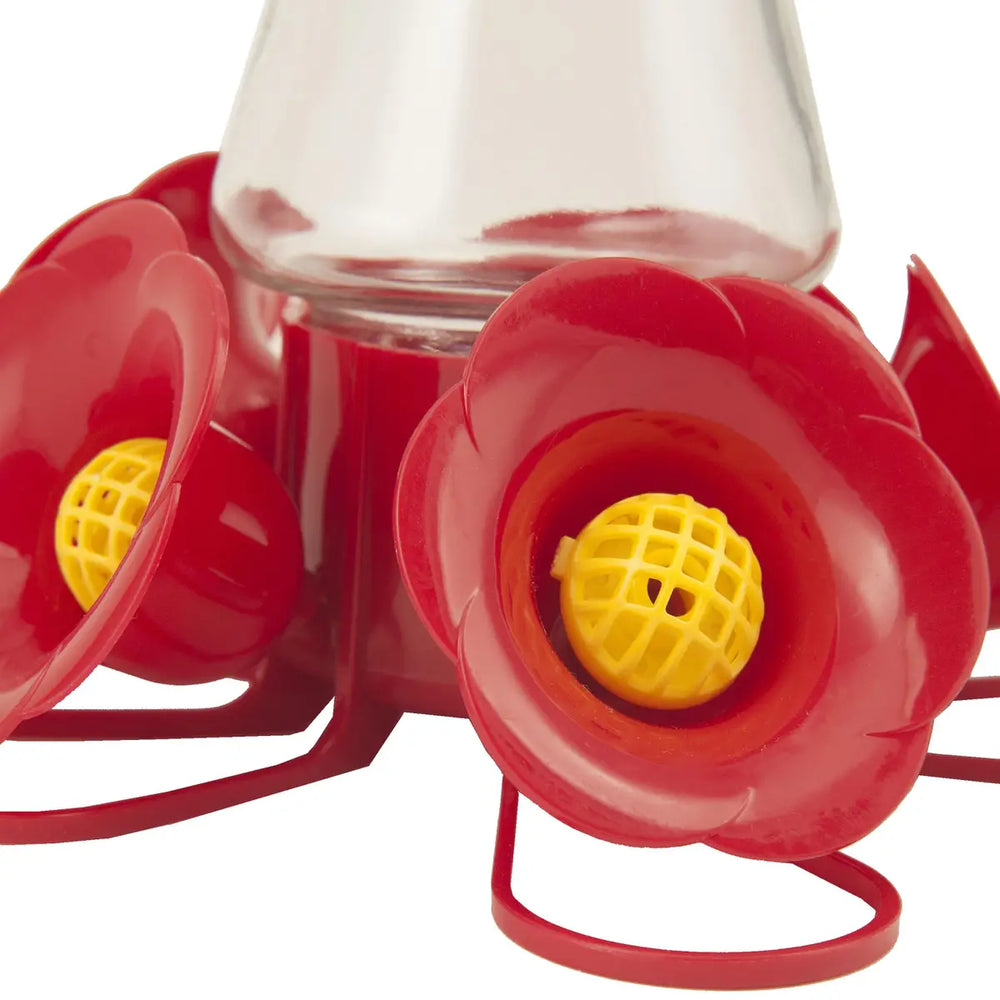 Pinch-Waist Glass Hummingbird Feeder, 16 oz