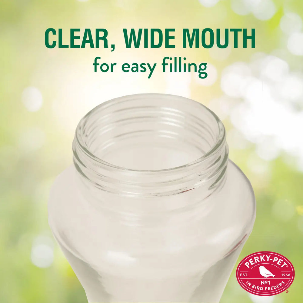 Pinch-Waist Glass Hummingbird Feeder, 16 oz