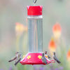 Our Best Glass Hummingbird Feeder, 30 oz Nectar Capacity