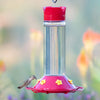 Our Best Glass Hummingbird Feeder, 30 oz Nectar Capacity