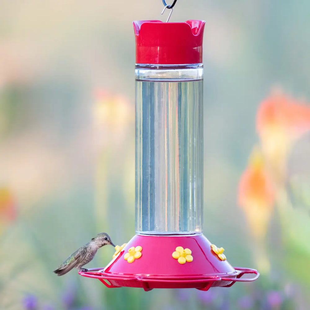 Our Best Glass Hummingbird Feeder, 30 oz Nectar Capacity