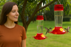 All-Natural Hummingbird Nectar – 21oz Bag