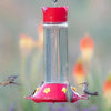 Our Best Glass Hummingbird Feeder, 30 oz Nectar Capacity